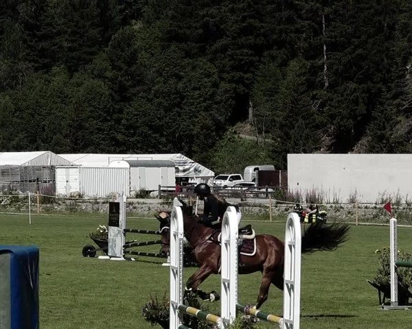 Sommer Concourse Hippique in St. Moritz 2021