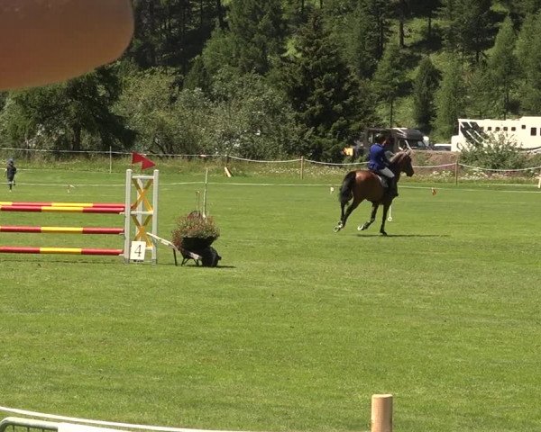 Sommer Concourse Hippique in St. Moritz 2021