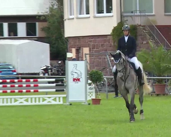 Rakoczy-Reitturnier Bad Kissingen 2021