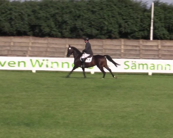 Großes Bautzener Reitturnier in Baschütz 2021