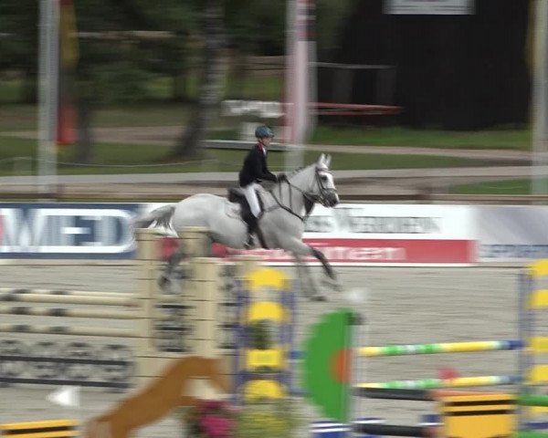 Reitturnier Westergellersen 2021