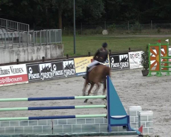 Reitturnier Westergellersen 2021