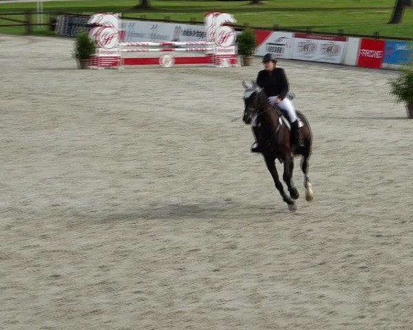 Reitturnier Westergellersen 2021