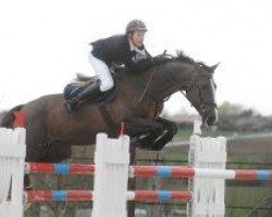 Springpferd Rioso van de Kapel (Belgium Sporthorse, 2001, von Idem d'Azur)