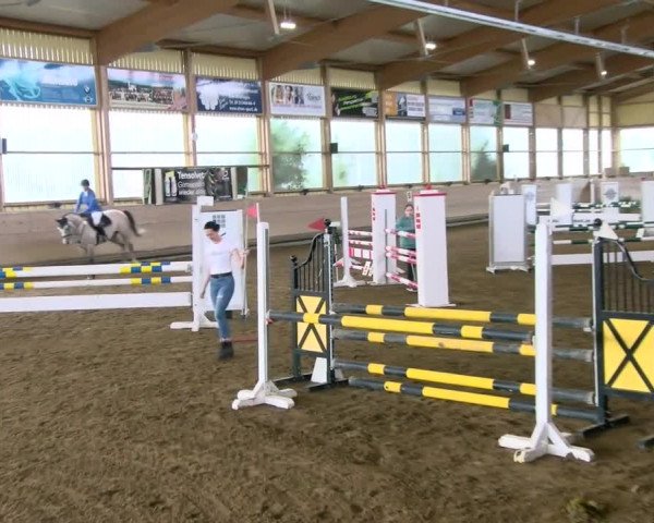 Reitturnier Biberach/Riß 2021