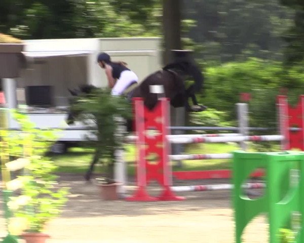 Reitturnier Datteln 2021