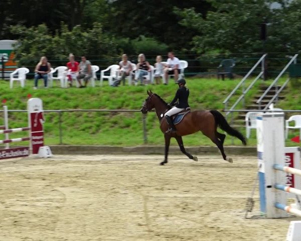 Reitturnier Kirchhoven-Vinn 2021