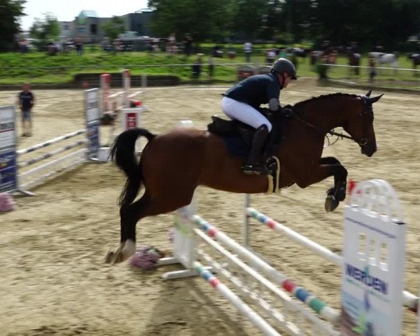 Reitturnier Kirchhoven-Vinn 2021