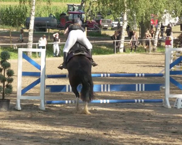 Springturnier und Reiterfest Königsbach 2021
