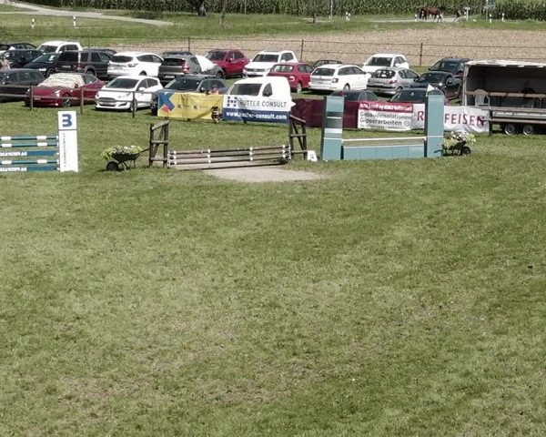 Springkonkurrenz Aadorf 2021