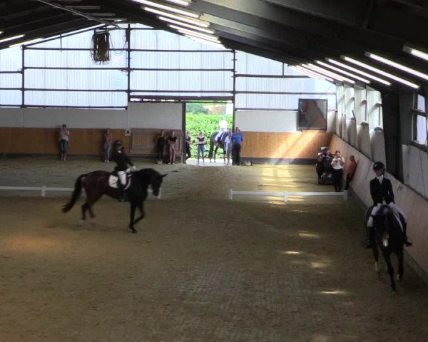 Reitturnier Datteln 2021