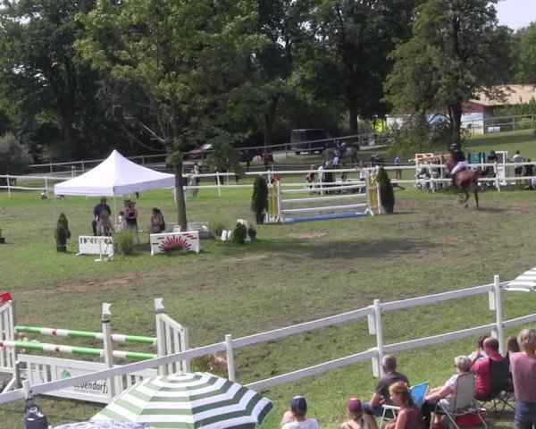 Reitturnier Müncheberg 2021