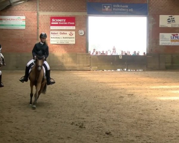 Reitturnier Kirchhoven-Vinn 2021
