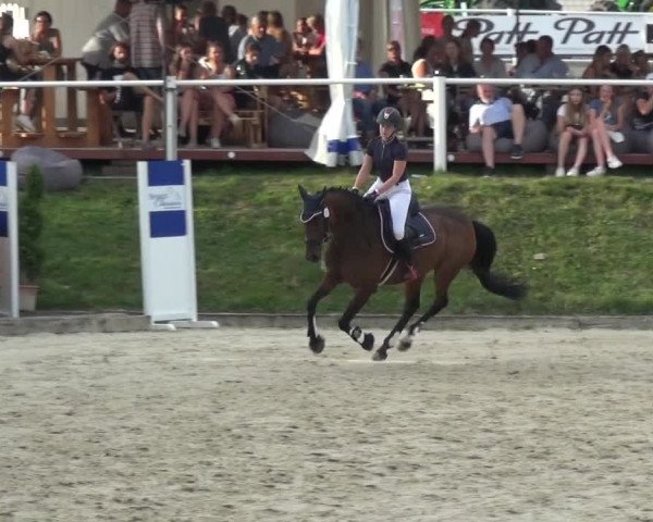 Bergisch Classics - Bergisch Gladbach - Springen 2021