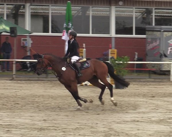 Reitturnier Werne 2021
