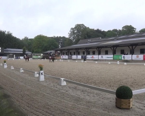 Reitsport Festival am Gut Jagenberg - Solingen 2021