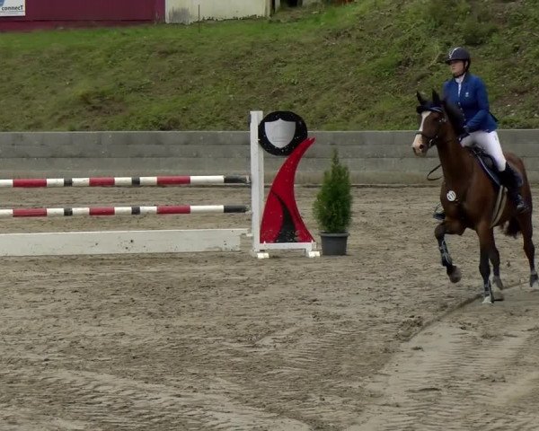 Reitturnier Siegen 2021