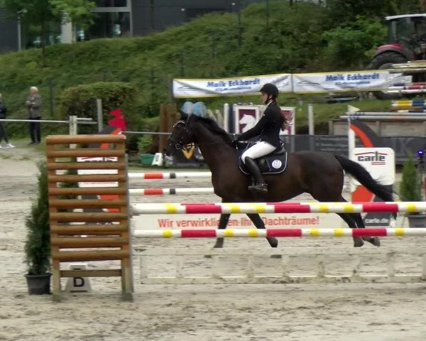 Reitturnier Siegen 2021