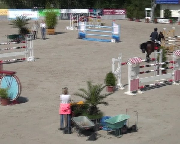 Reitturnier Monheim - Gut Blee 2021