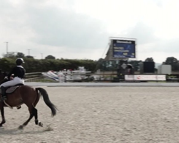 Concours Hippique de Dompierre 2021