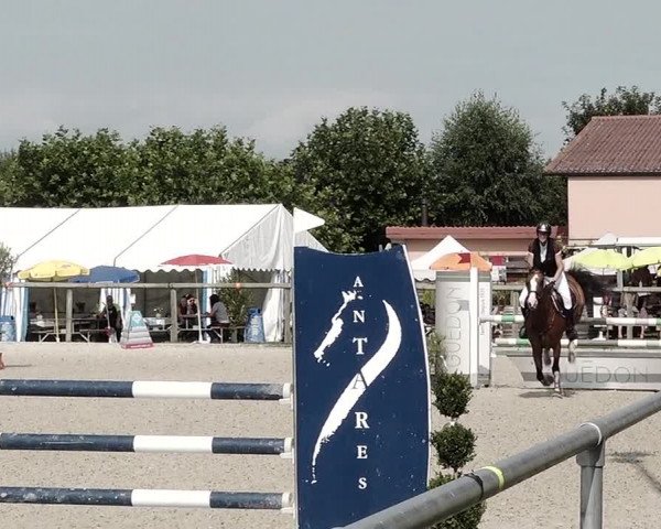 Concours Hippique de Dompierre 2021