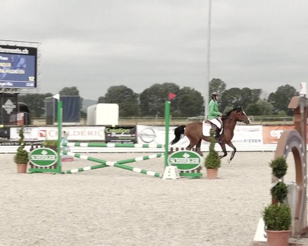 Concours Hippique de Dompierre 2021