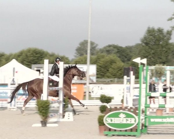 Concours Hippique de Dompierre 2021