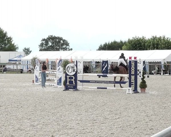 Concours Hippique de Dompierre 2021