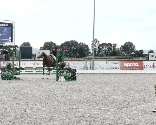 Concours Hippique de Dompierre 2021