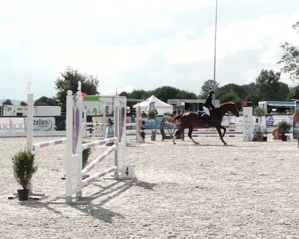 Concours Hippique de Dompierre 2021