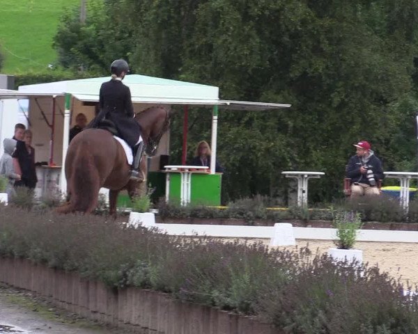 Bergische Dressurtage Lindlar - Reitanlage Dückers 2021