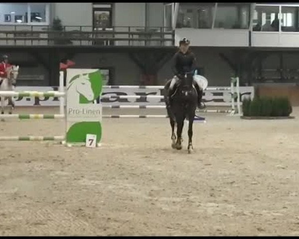Video von Quintus 93