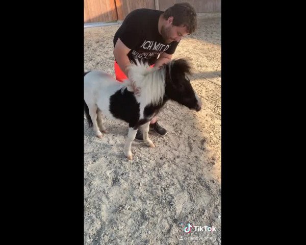 Video of Tabaluga