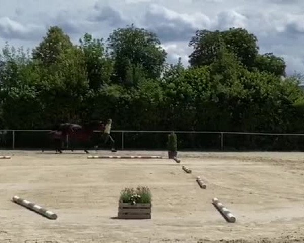 Video von Fabergé