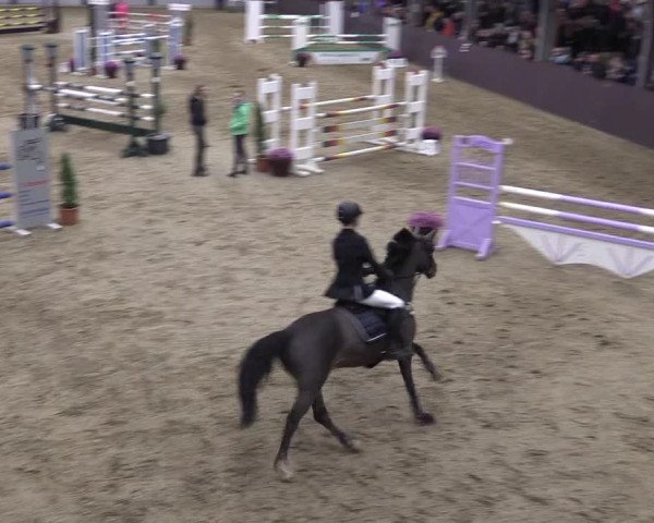 Video of magics-first-lady