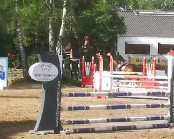 Video of Chokie 3