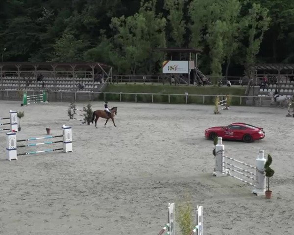 Video von Chavi