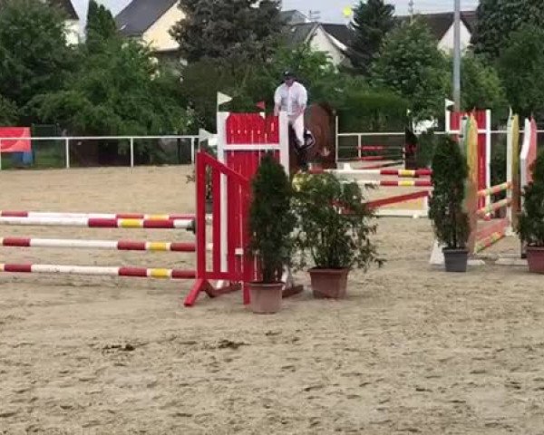 Video of Loewenherz Gm