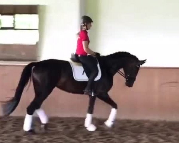 Video von Diana S 4