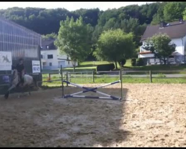 Video of Pennylane S