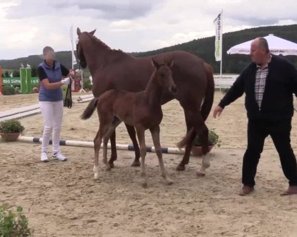 Video von De Sinira Gold
