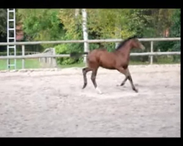 Video of Einfach Charmant