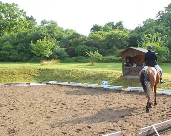 Video of Aumeister
