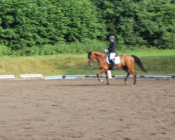 Video of Aumeister