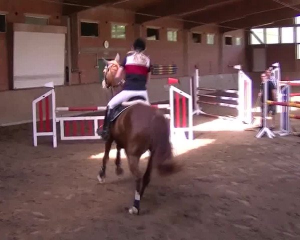 Video of Rocher 23