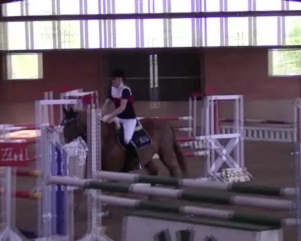 Video of Rocher 23