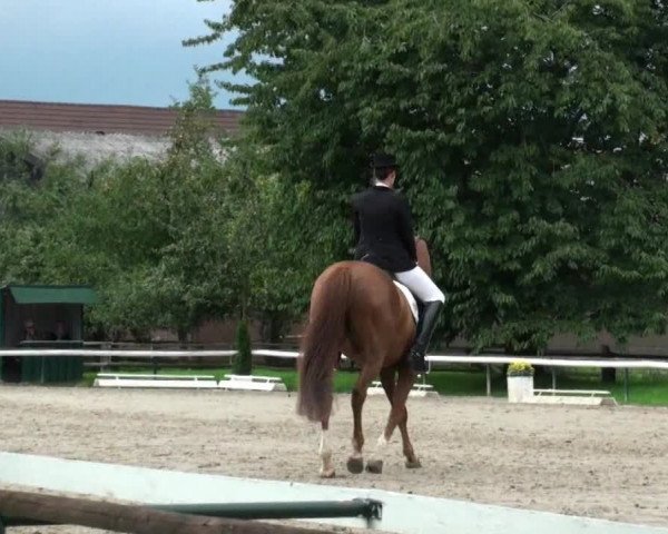 Recklinghausen 2010