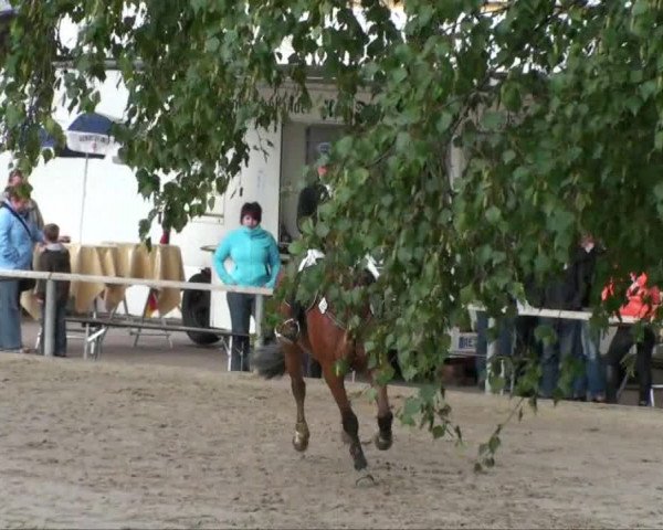 Video of Charon Z