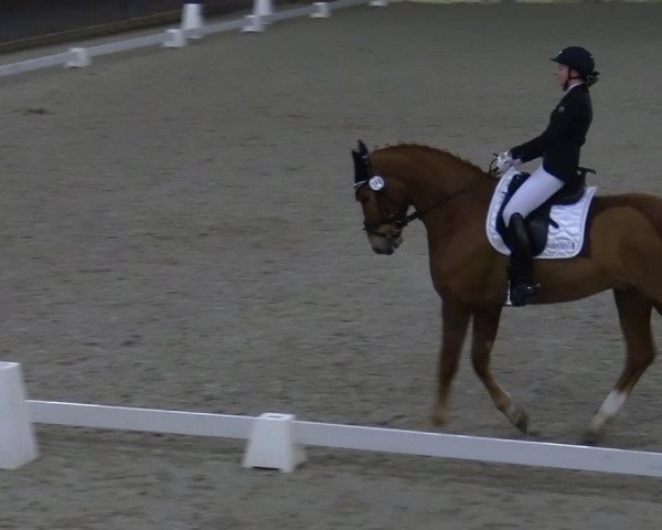 Hallennachwuchsturnier Herford 2022