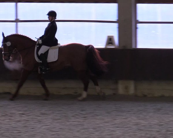 Hallennachwuchsturnier Herford 2022